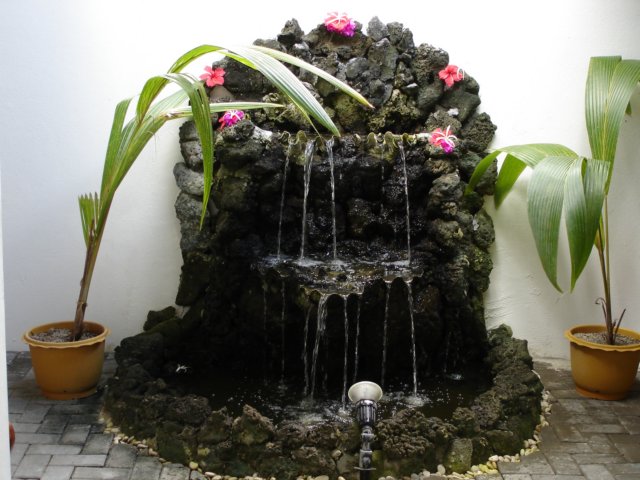 dsc02453.jpg