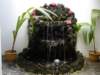 dsc02453_small.jpg
